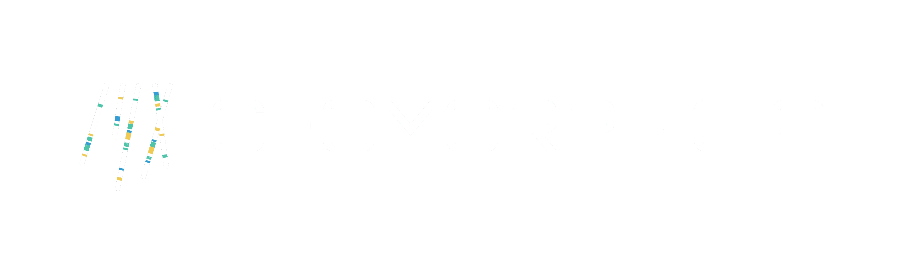 Geomorphic AI